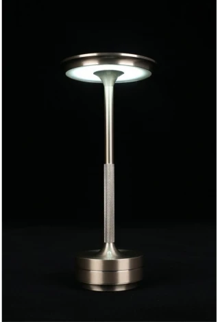 Настольная лампа светодиодная Aployt Markel APL.064.14.05 (220V)