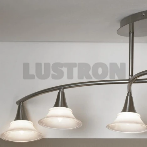 Потолочный светильник Lussole Marche LSC-2499-06