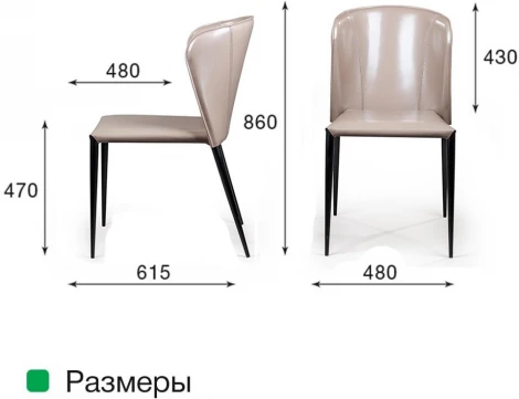 Стул Albert, кожа капучино Top Concept ALBERT 2000000000046