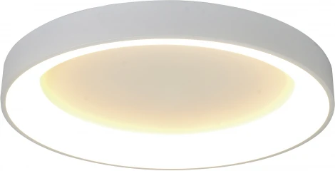 Потолочный светильник круглый Mantra Niseko 8578 (регулировка яркости, LED, 220V, пульт управления, круглые)