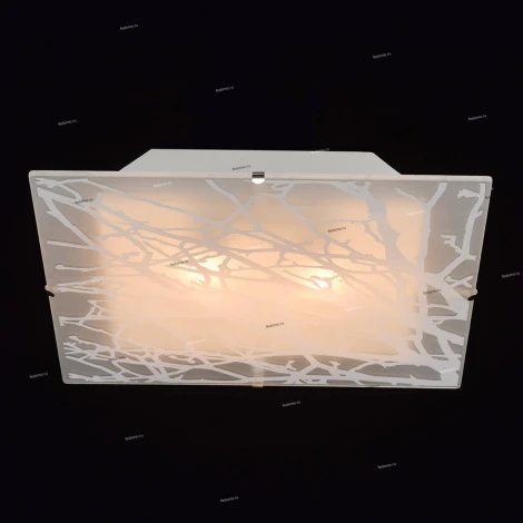 Потолочный светильник MW-Light Васто 368010702