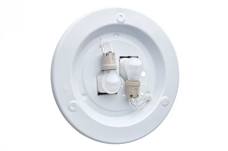 Настенно-потолочный светильник Sonex Riga 211