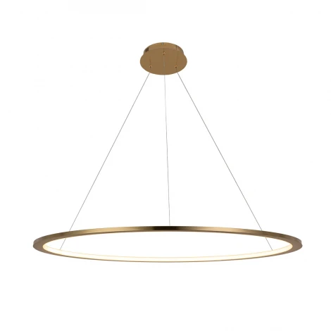 Подвесной светильник Loft IT Ring 10014XL (LED, 220V, на тросе, кольцо)