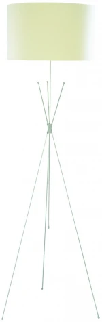 Торшер Arte Lamp Task A1713PN-1SS