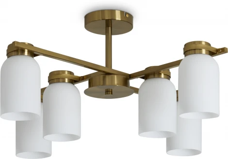 Потолочная люстра на штанге Freya Kamelia FR5446PL-06BS (220V)