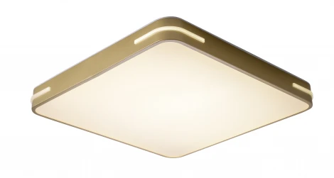 Потолочный светильник Zortes Gabby ZRS.1215.04 (LED, 220V)