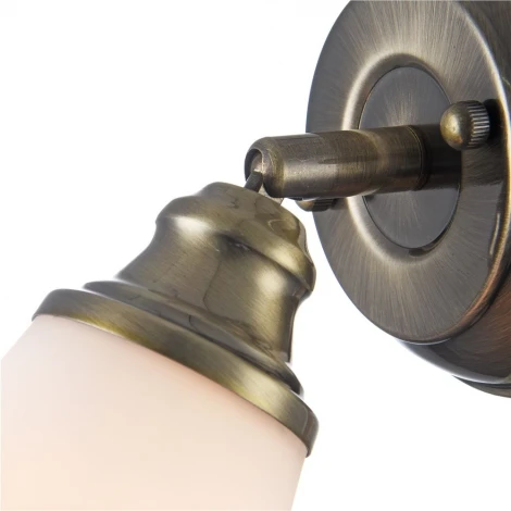 Спот Freya Jasinta FR2272-WL-01-BS (220V, круглые)