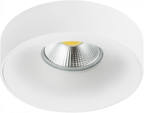 Встраиваемый светильник Levigo L01002020 (010020+510020) (220V)
