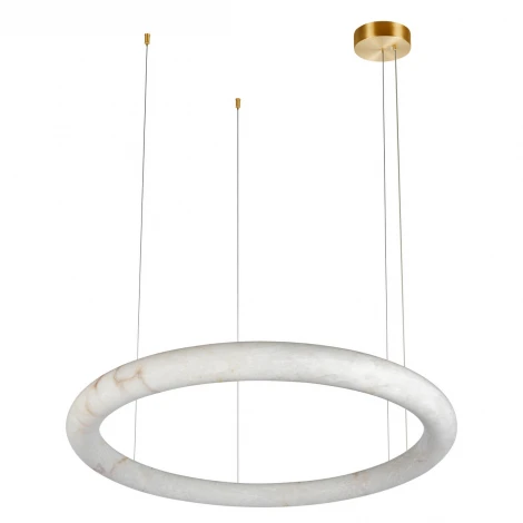 Подвесной светильник светодиодный кольцо Loft It Oslo 10407/1000 (220V, на тросе, кольцо)