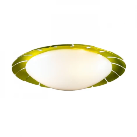 Потолочный светильник Odeon Light Zita 2754/3C