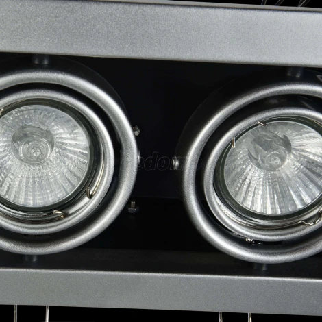 Встраиваемый светильник Metal Modern GU10 2x50Вт Maytoni Technical DL008-2-02-S (220V)