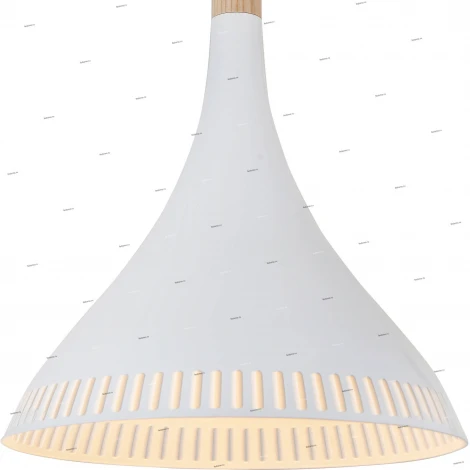 Подвесной светильник ST Luce Agilita SL710.503.01