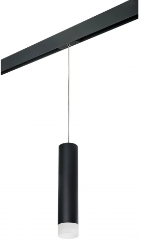 Трековый светильник однофазный 220V Lightstar Rullo PRORP49731 (круглые)