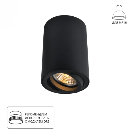 Накладной точечный светильник Arte Lamp Sentry A1560PL-1BK