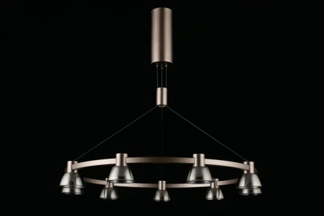 Подвесной светильник Aployt Rezeda APL.788.03.09 (LED, 220V, на проводе)