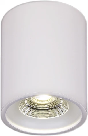 Точечный светильник светодиодный Reluce 81117-9.5-001RT LED10W WT (220V)