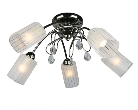 Потолочная люстра Omnilux Bigorre OML-39807-05