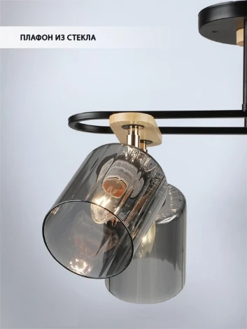 Потолочная люстра Wedo Light Lana WD3608/6C-BK-SMK