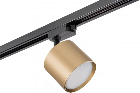 Трековый светильник Lightstar Rullo R1T3490 (220V)