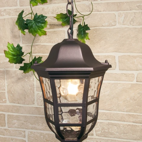 Уличный светильник подвесной Elektrostandard Dorado GL 1013H (220V, на цепи, круглые, IP44)