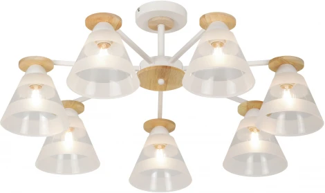 Потолочная люстра на штанге Rivoli Theothila 9177-308