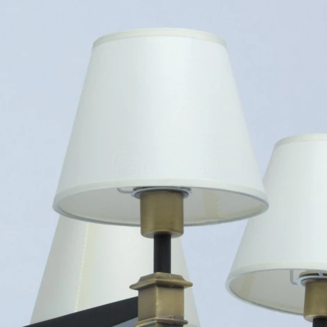 Потолочная люстра MW-Light ДельРей 700013306
