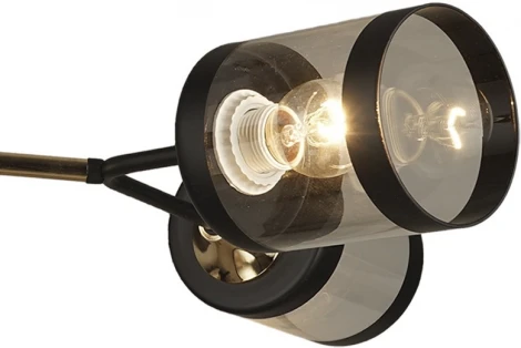 Потолочная люстра на штанге Reluce 03592-0.3-04 FGD+BK (220V)