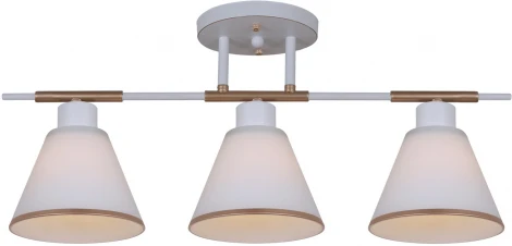 Потолочная люстра на штанге Reluce 07594-0.3-03 WG (220V)