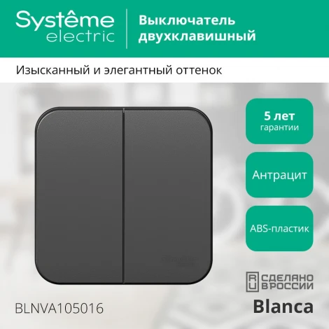 Выключатель накладной двухклавишный (антрацит) Systeme Electric Blanca BLNVA105016