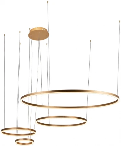 Подвесной светильник Loft IT Ring 10017/4M (LED, 220V, на тросе, кольцо)