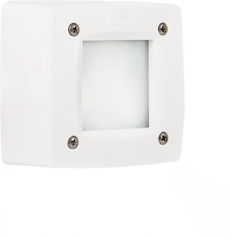 Встраиваемый светильник уличный Fumagalli Leti 3S1.000.000.WYG1L (220V, IP66)