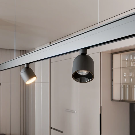 Трековый светильник магнитный Elektrostandard Slim Magnetic 12W 4000K Umi (черный) 85109/01 (LED, 48V, круглые)