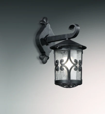 Настенный фонарь уличный Odeon Light Bukle 2311/1W