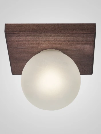 Потолочный светильник Мелодия Света SS1N 6426N-1 WG 000067479