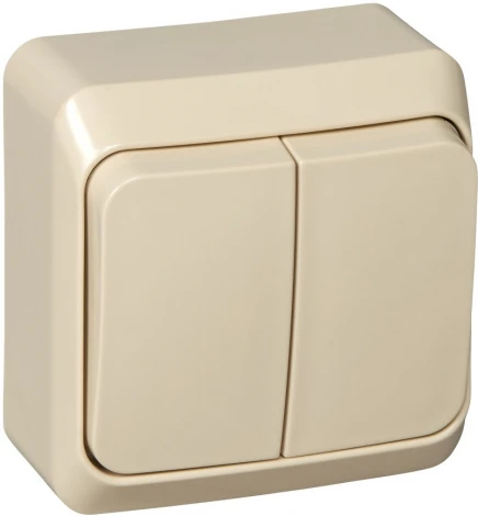 Выключатель накладной двухклавишный с подсветкой (кремовый) Systeme Electric BA10-006K