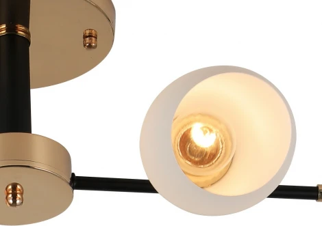 Потолочная люстра на штанге Reluce 07086-0.3-04 (220V)