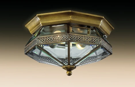 Потолочный светильник Odeon Light Lagon 2545/2