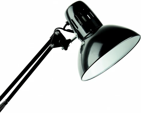 Офисная настольная лампа на струбцине Arte Lamp Senior A6068LT-1BK (220V)
