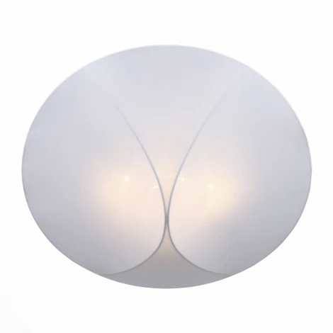 Потолочный светильник ST Luce Tonico SL360.552.04