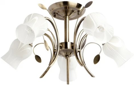 Потолочная люстра MW-Light Флора 256018205