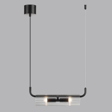 Подвесной светильник Lumion Toronto 6561/2 черный/прозрачный/металл/стекло G9 2*20W 220V (на проводе)