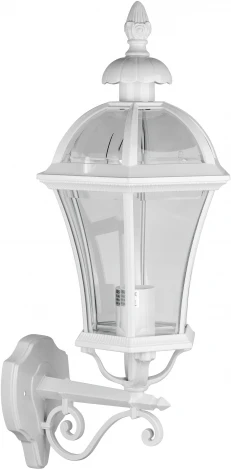 Уличный настенный фонарь Oasis Light ROMA L 95201L/02 W (220V, фонарь, IP44)
