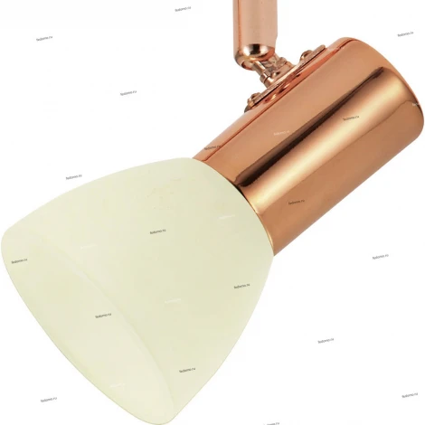 Спот Eglo Glossy 2 94738