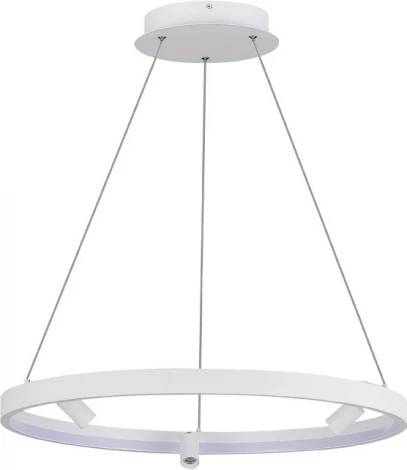 Подвесной светильник со спотами Donolux Aura Spot S18866R30W1W600 (LED, 220V, на тросе, круглые)