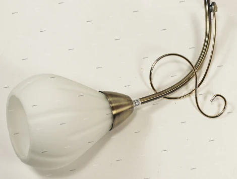 Потолочная люстра Odeon Light Dovera 2470/5C