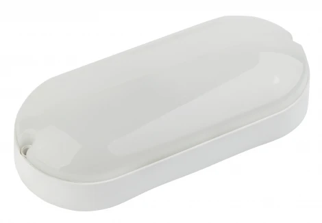 Настенно-потолочный светильник Эра SPB-202-0-40K-012 (LED, 220V, IP65)