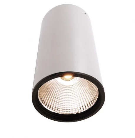 Накладной точечный светильник Deko-Light Luna 348063 (LED, 220V, круглые)