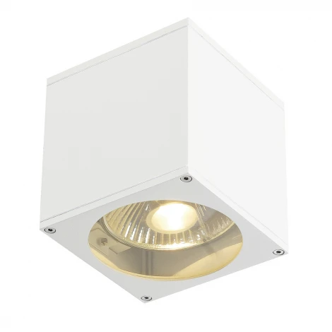 Настенный светильник уличный Slv Big 229561 (220V, куб, IP44)