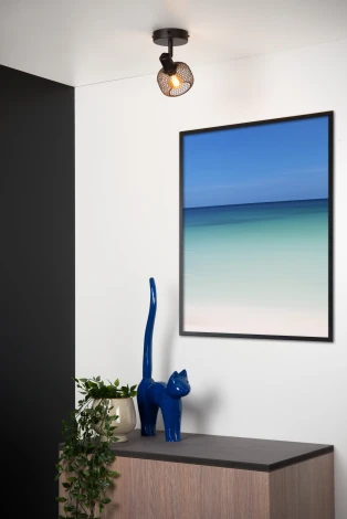 Спот Maren 77978/01/30 Lucide (220V, шар)