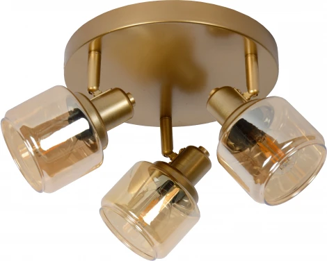 Спот Bjorn 77979/13/02 (220V)